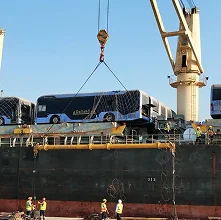 Cargo Discharge and
Condition Survey