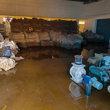 Flood Loss