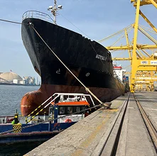 Vessel Condition
Survey